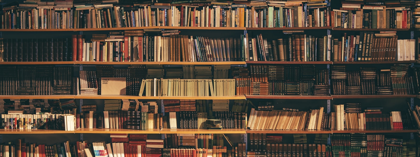 A wide, panoramic view of ancient bookshelves filled with leather-bound academic books in a historic library